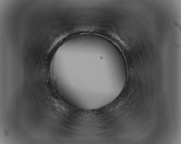 X0000091511256200709070945