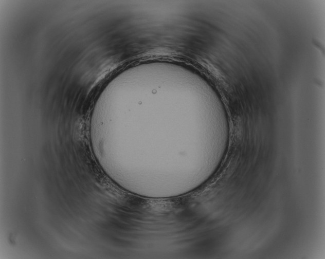 X0000091511258200709070945