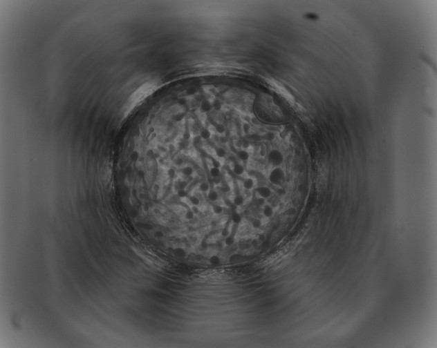 X0000091511259200709070945