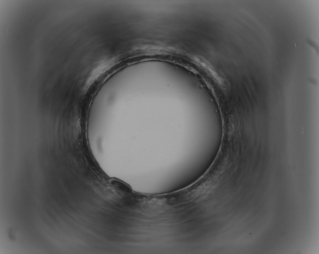 X0000091511261200709070945