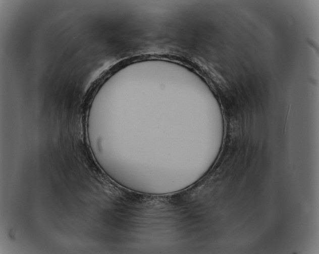 X0000091511262200709070945