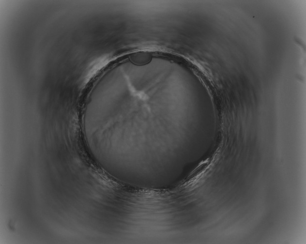 X0000091511263200709070945