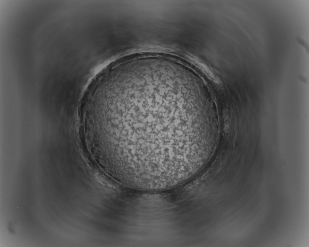 X0000091511264200709070945