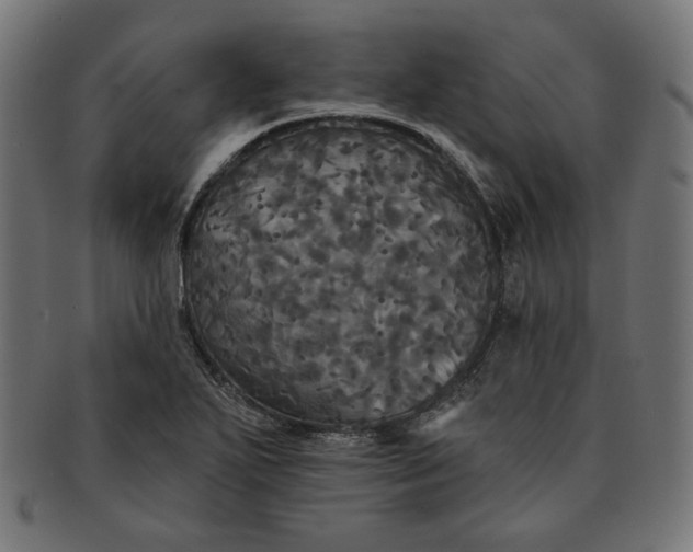 X0000091511271200709070945