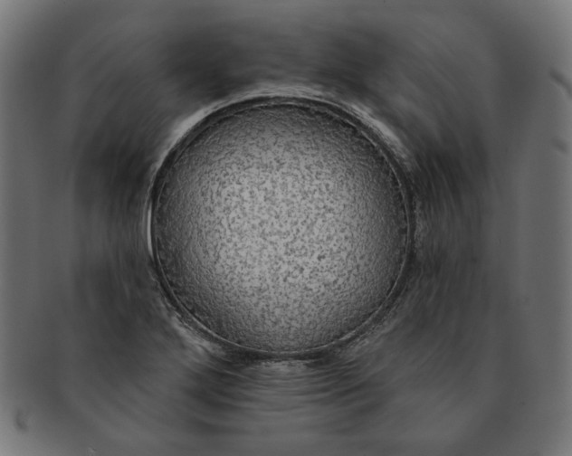 X0000091511272200709070945