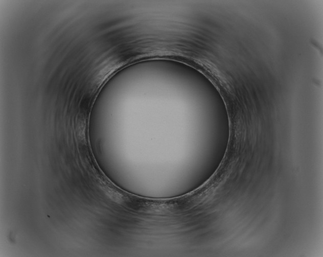 X0000091511273200709070945