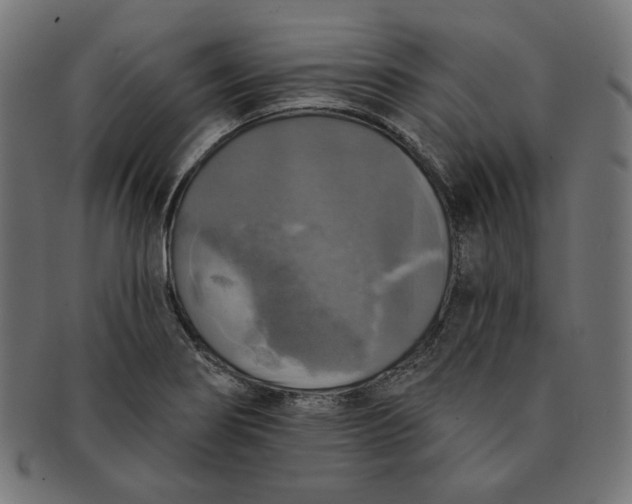 X0000091511274200709070945