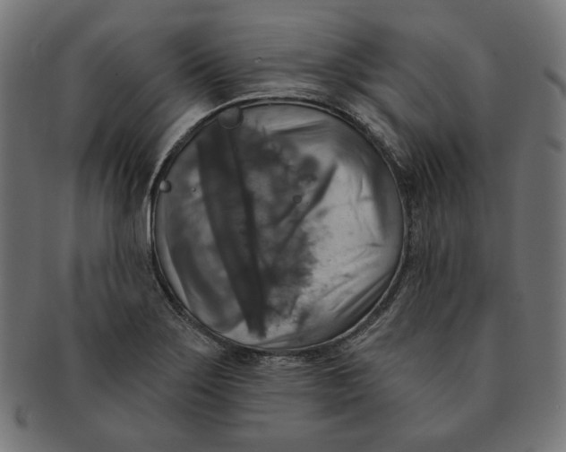 X0000091511275200709070945