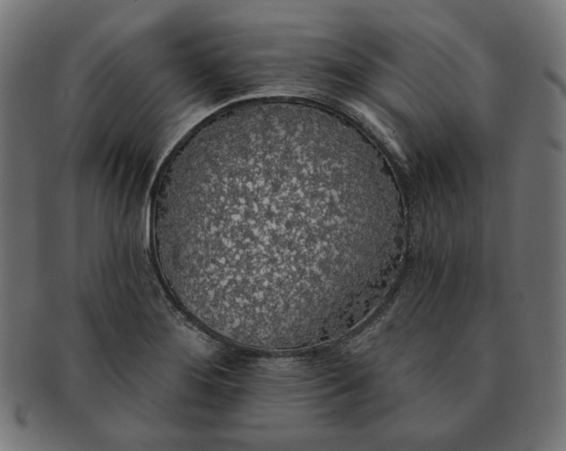 X0000091511276200709070945