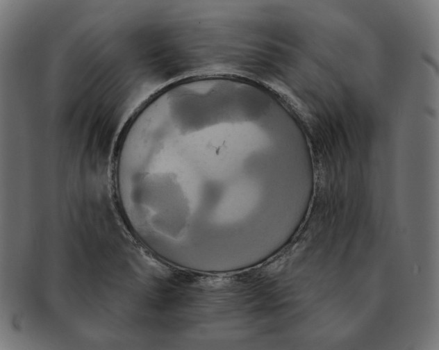 X0000091511278200709070945