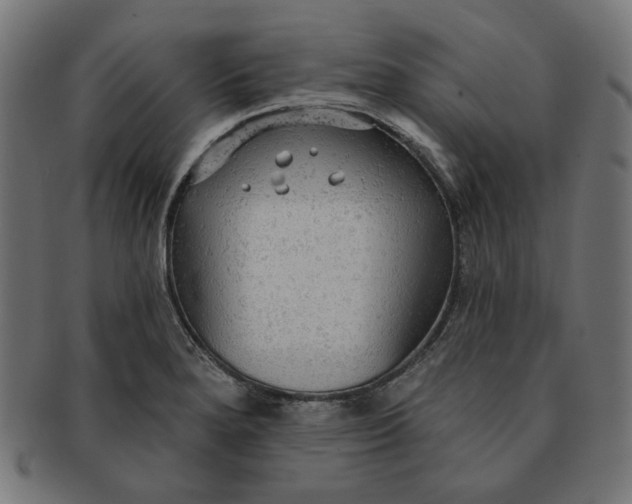 X0000091511280200709070945