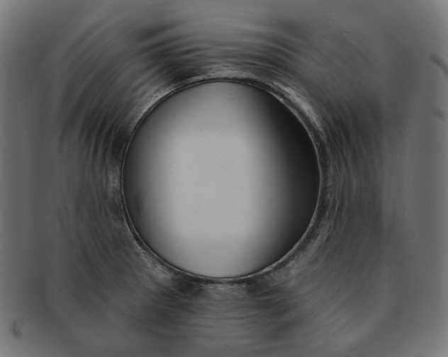 X0000091511281200709070945