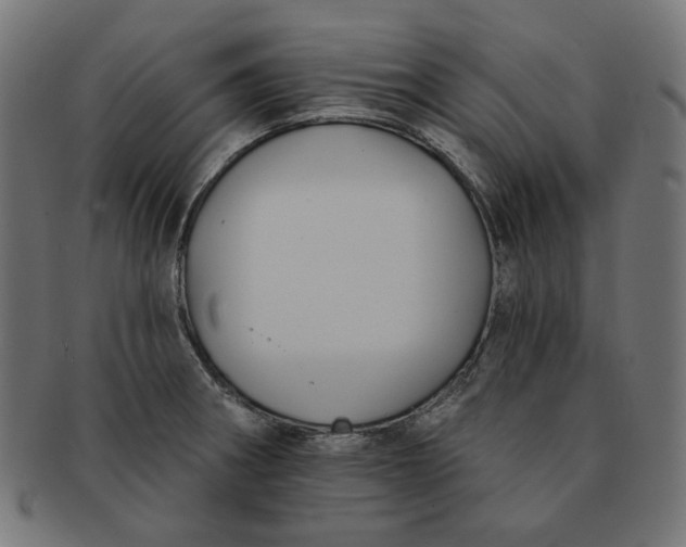 X0000091511282200709070945