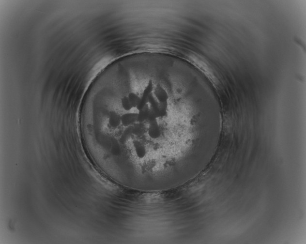 X0000091511283200709070945