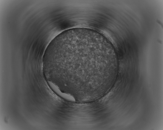 X0000091511284200709070945