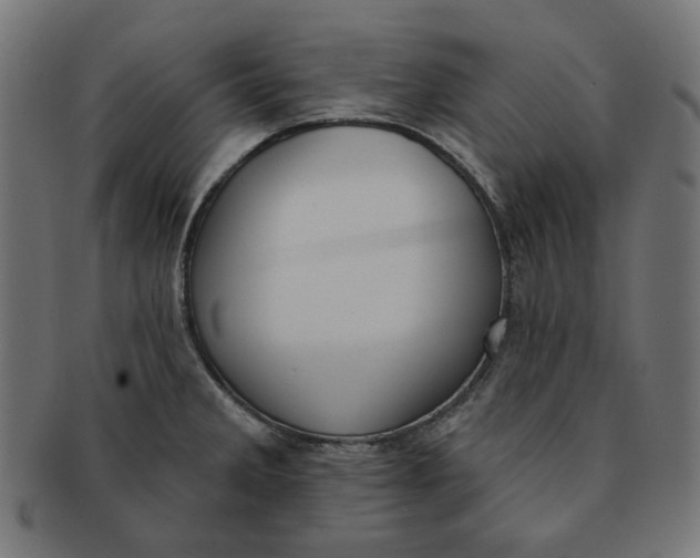 X0000091511285200709070945