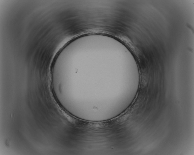 X0000091511286200709070945