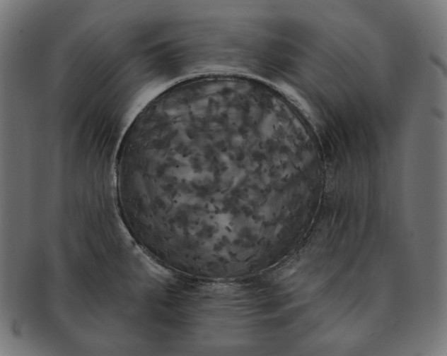 X0000091511287200709070945