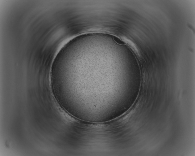 X0000091511288200709070945