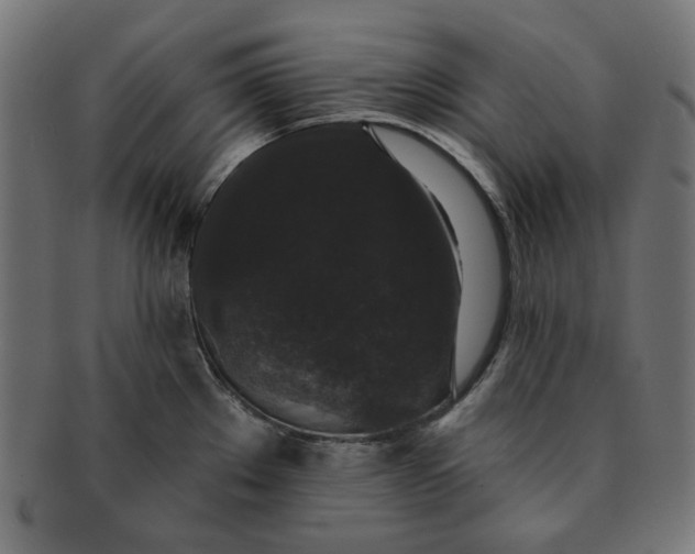 X0000091511289200709070945