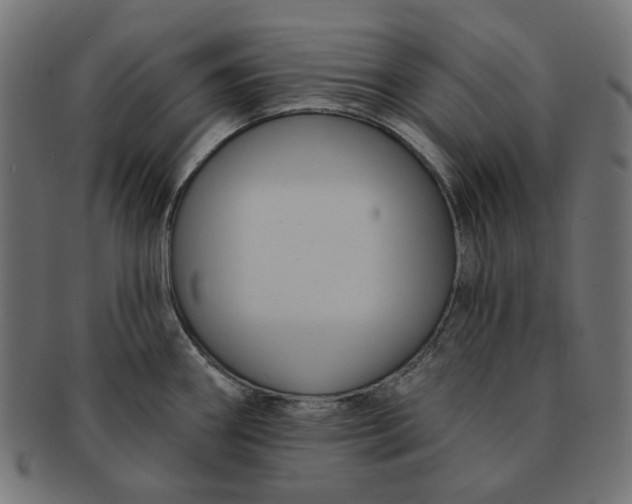 X0000091511290200709070945