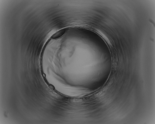 X0000091511291200709070945