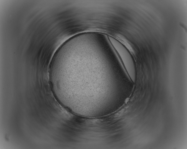 X0000091511292200709070945