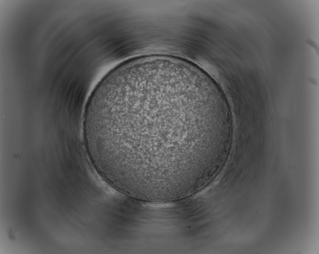 X0000091511296200709070945