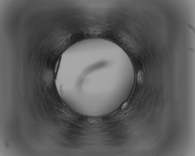 X0000091511299200709070944