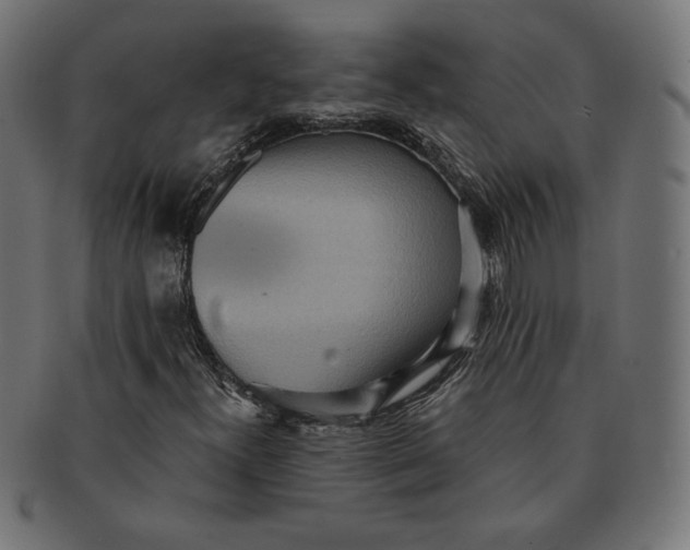 X0000091511300200709070944