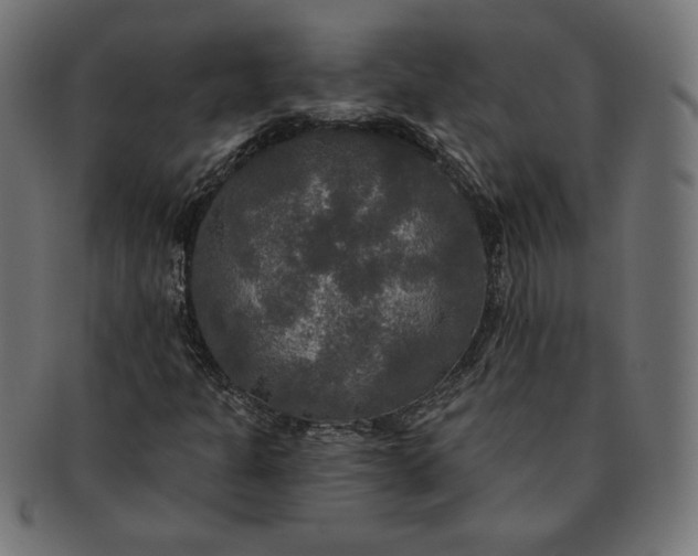 X0000091511301200709070944