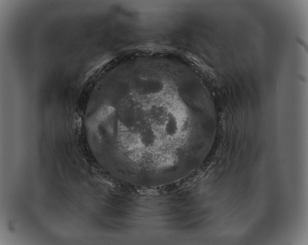 X0000091511302200709070944