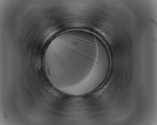 X0000091511306200709070944