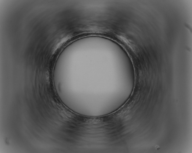 X0000091511307200709070944