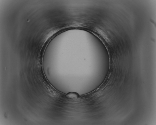 X0000091511308200709070944