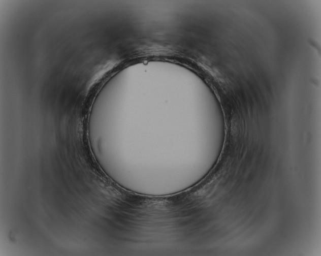 X0000091511309200709070944