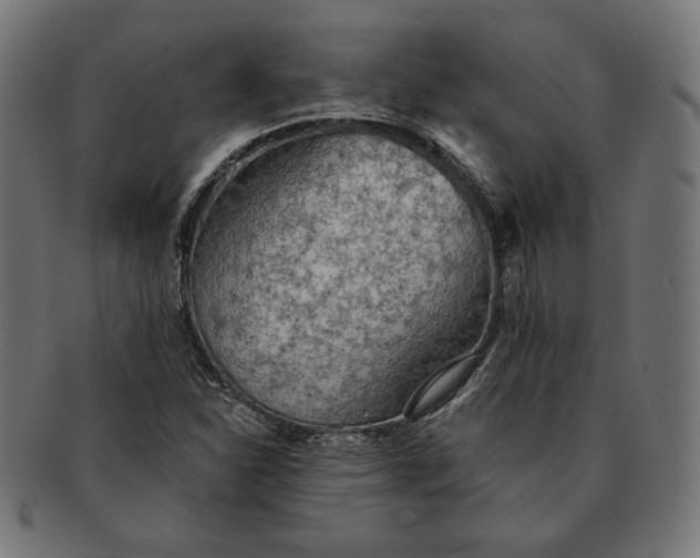 X0000091511310200709070944