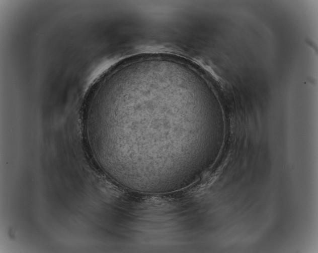 X0000091511311200709070944