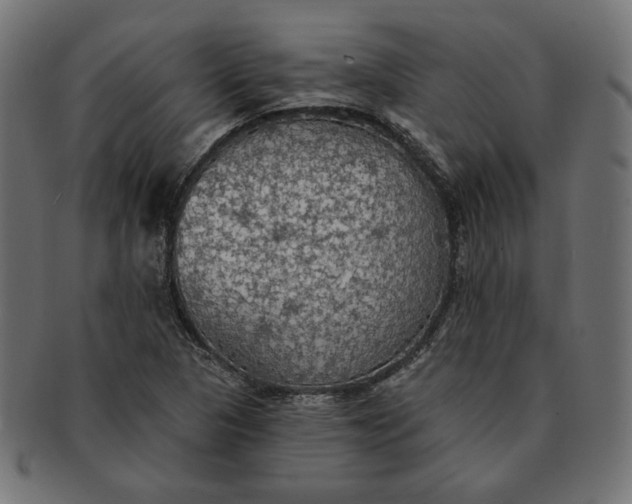 X0000091511313200709070944