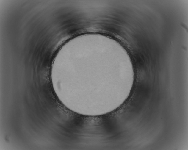 X0000091511314200709070944