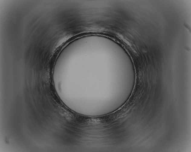 X0000091511315200709070944