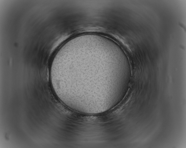 X0000091511317200709070944