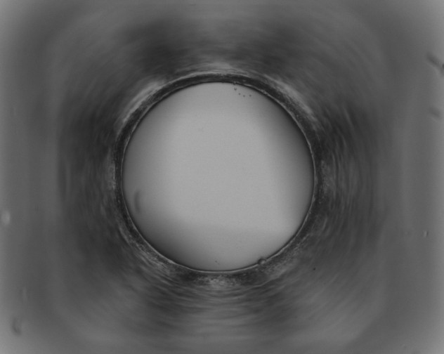 X0000091511318200709070944