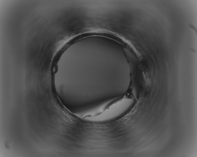 X0000091511319200709070944