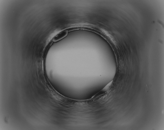 X0000091511320200709070944