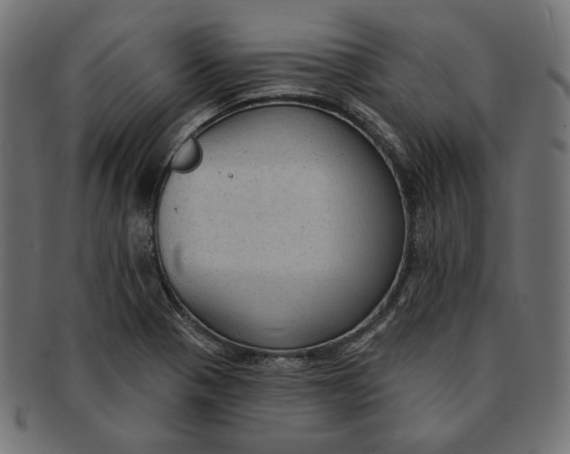 X0000091511321200709070944