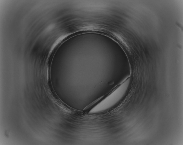 X0000091511323200709070944