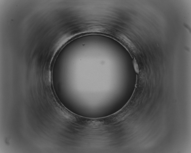 X0000091511324200709070944