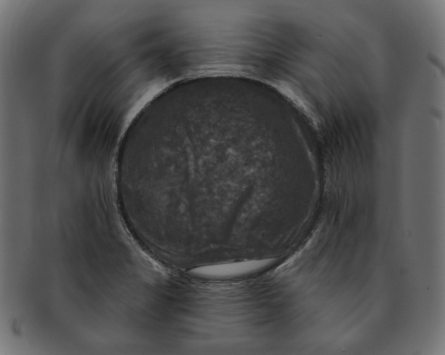 X0000091511325200709070944