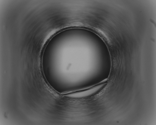 X0000091511326200709070944